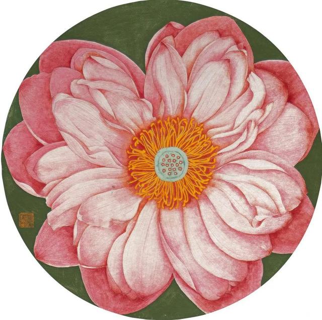 她走遍世界各地，创作了许多画家未画过的植物