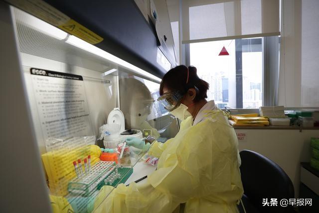 新加坡研究：患者病发11天后已无传染力 检测阳性也不会传播病毒