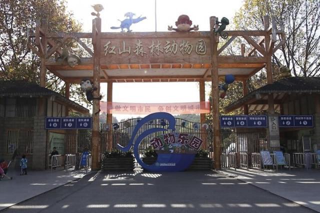 南京十大最适合一家人去的景点 南京亲子游景点推荐