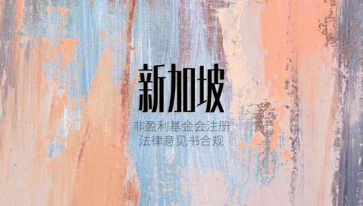做艺术、影视、教育、投资行业的如何办理新加坡基金会呢？