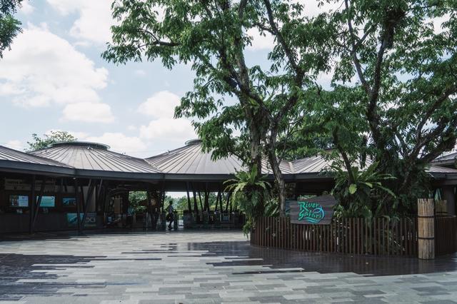 全亚洲独一无二，都是你没见过的物种，这个动物园想私藏