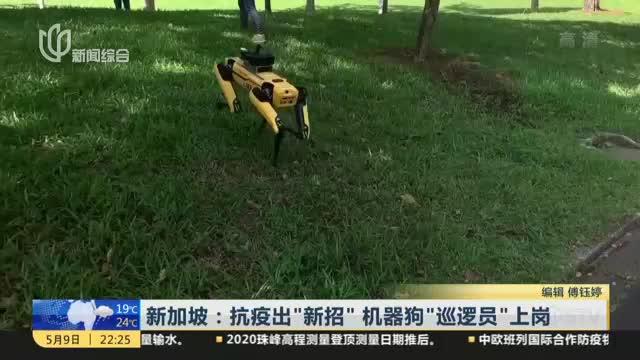 新加坡：抗疫出“新招”  机器狗“巡逻员”上岗