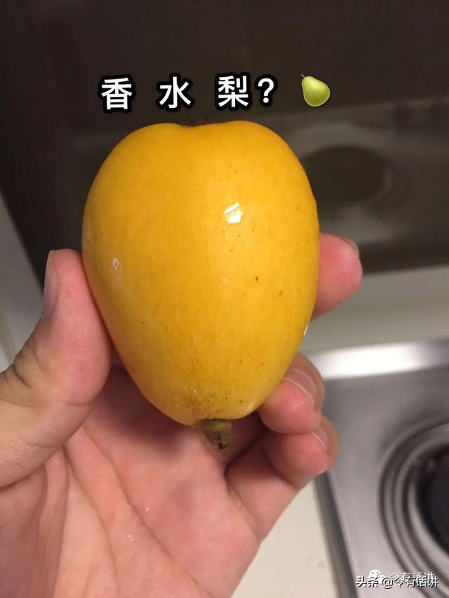 记第一次吃枇杷