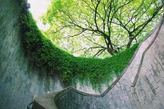 新加坡福康宁公园最隐密的IG打卡点，顺游旧禧街警察局彩虹门窗