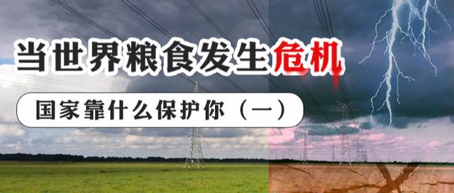 当世界粮食危机发生 国家靠什么保护你（一）
