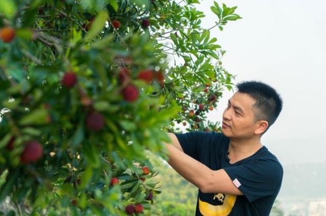 鲜丰水果推出品牌超级符号，让人过目不忘，实现高效传播