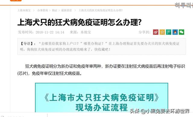 如何带心爱的宠物出境和回国？符合新规要求可免隔离直接回国