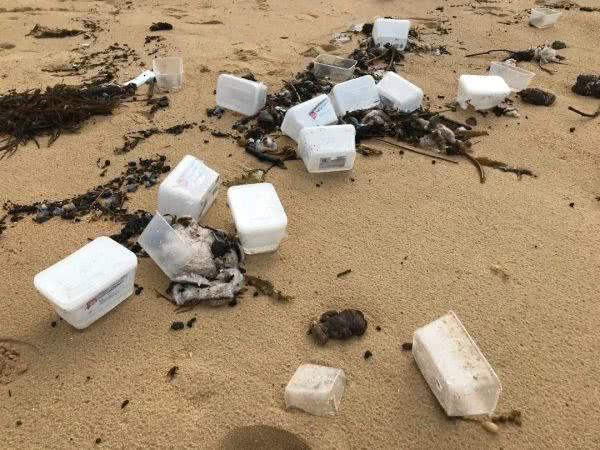 新加坡货船遭巨浪！40个集装箱掉落！大量口罩和塑料餐盒冲上澳洲海滩