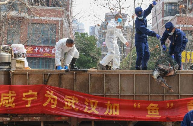 风雨无阻向前进！写在全国疫情防控阻击战取得重大战略成果之际