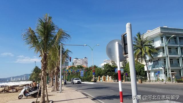 大韩航空预计6月恢复北京在内的部分国际航线