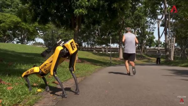 波士顿动力机器狗进新加坡公园：保持距离