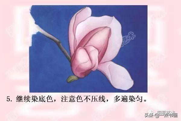 图文教程——工笔玉兰画法