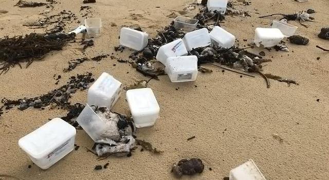 开往墨尔本货船40个集装箱坠海 口罩等物资被冲到悉尼