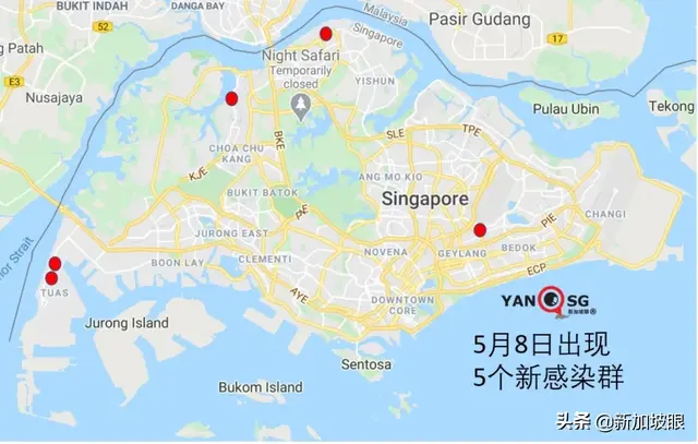 今增753|八万工作准证申请极少被批，解禁后还能回新加坡工作吗