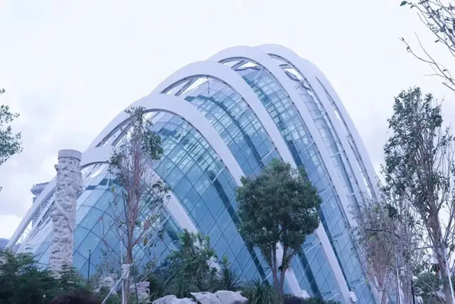 昔日的亚洲四小龙，为何如今“狮城”却独领风骚？