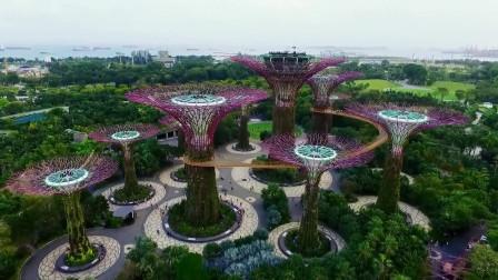 新加坡滨海湾花园，你去过吗？