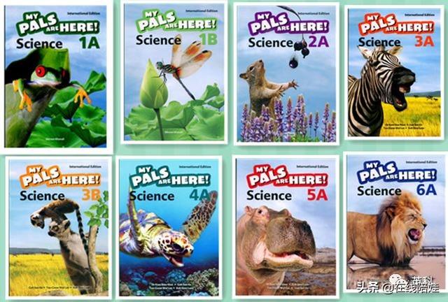 免费下载 | 探索自然奥秘，新加坡科学课教材​My Pals are Here