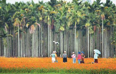 新加坡外长：中国给各国战胜疫情带来希望