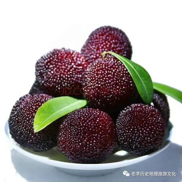 水果正当季：杨梅