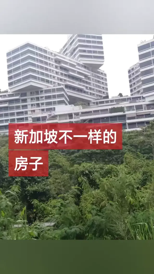 记录新加坡