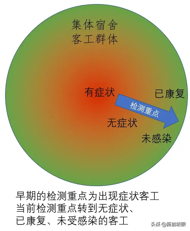 新加坡今增675，累计25346 | 所有32万客工将做病毒检测筛分