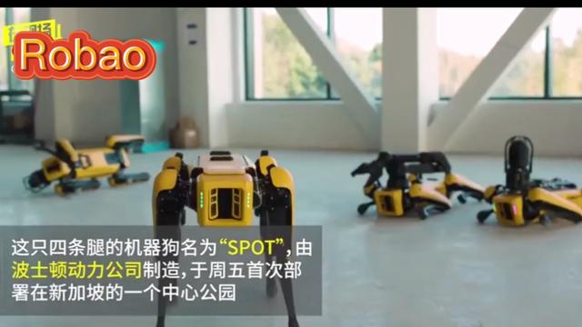 [蚂雅]新加坡招募波士顿机器狗来应对新冠疫情，表现太令人惊叹！