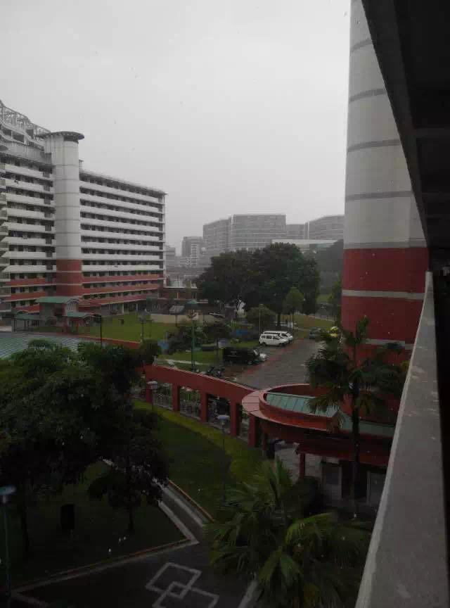 新妈在新加坡那些事儿（五）我的大姐们是"媒婆"