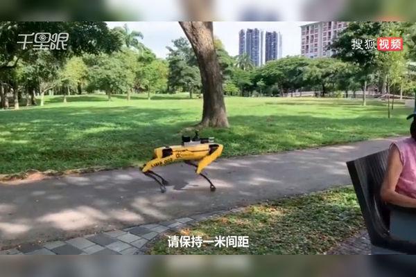 【新加坡】硬核防疫！机器狗巡逻像不像外星人入侵
