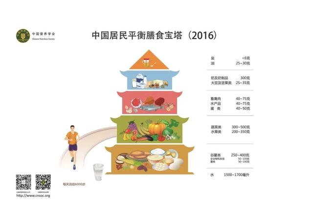 每天到底应该吃多少？各国都有参考答案