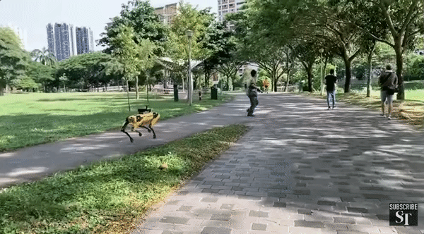 新加坡派出机器狗提醒民众保持社交距离
