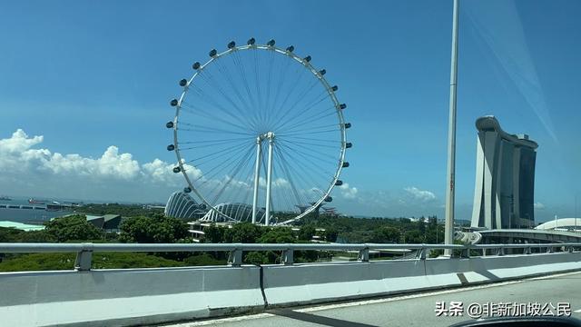 新加坡疫情期间的街景，似乎觉得非常宁静，天气好好心情好！