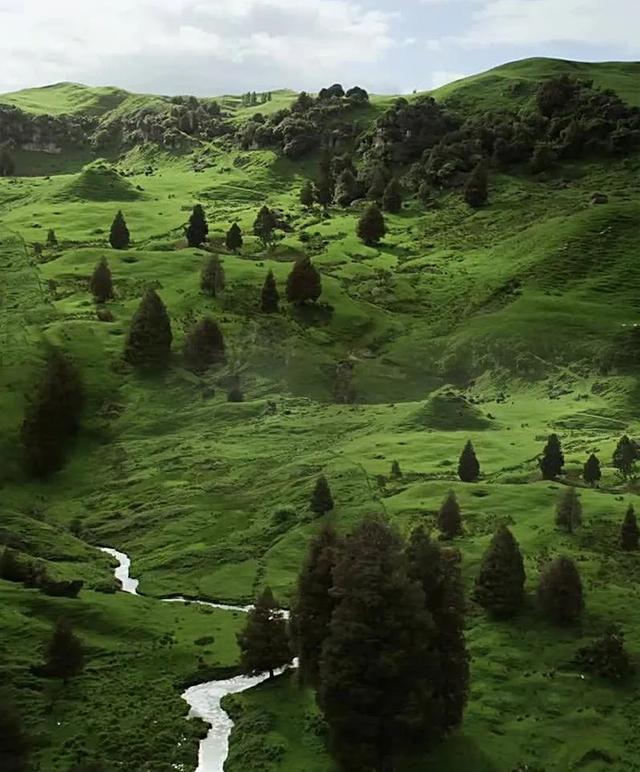 新西兰：世界真的纯净吗？