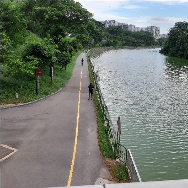 记录新加坡疫情期间每天的生活(31-5-2020)涛生水起