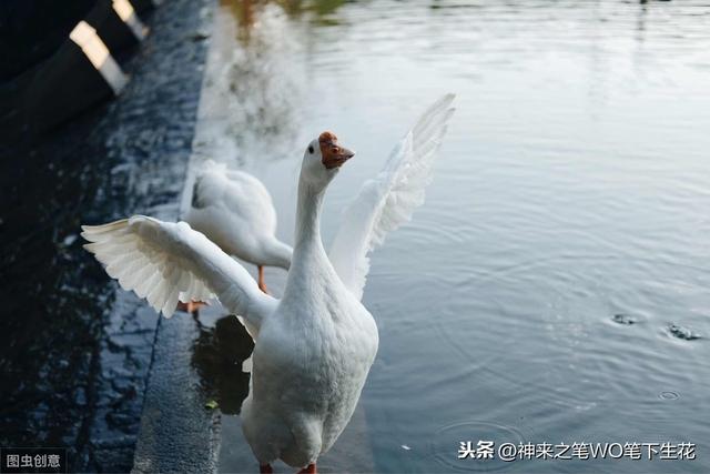 东南亚，新加坡历史、政治、经济学之序言（四十七）