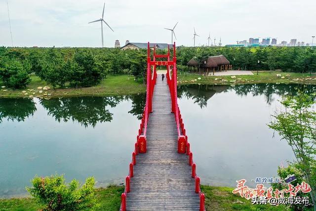 探索威海“森林秘境”，来一场逃离喧嚣的旅行