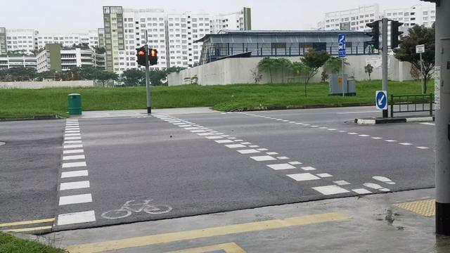 这张图能看出新加坡的什么优点呢？