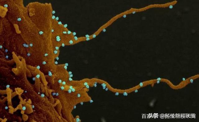 美国疫情面临失控；病毒显传播方式非常“邪恶”；C919飞抵吐鲁番；长三甲系列火箭设计团队平均年龄不足30岁