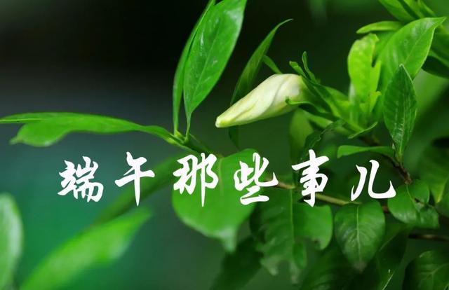 栖霞山丨端午除了吃粽子，还是中国传统的“防疫节”？