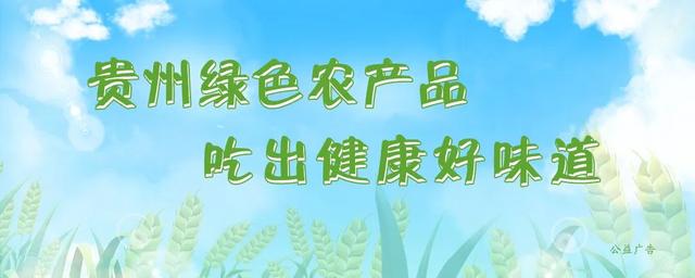 贵州艺术家蹇人毅｜一位华夏文化复兴的践行者