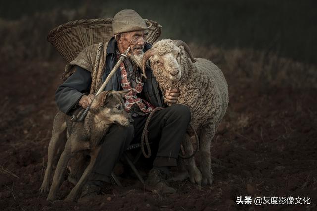 获奖欣赏丨为了寻找你，我搬进鸟的眼睛，经常盯着路过的风