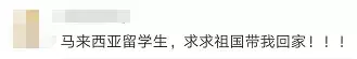 日本、韩国等多国航班将增加！放宽入境管制，滞留人员有望回国