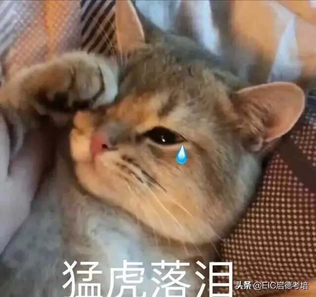 包机、降分、免费住宿…… 为了留住你，英国大学太拼了