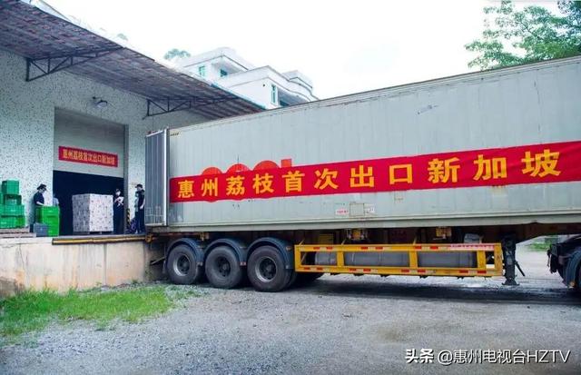 惠州荔枝销售打出海外牌，已收到荔枝出口订单1130吨
