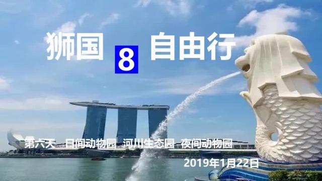 花园之国新加坡，全天游览日间、河川、夜间三个动物园