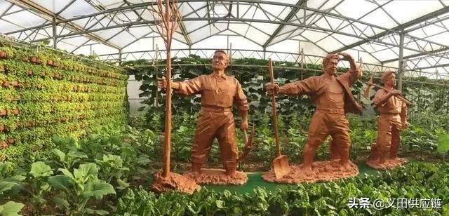 如果我有1000万，现代农业我会这么做