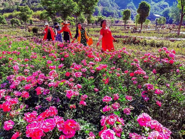 期待！西昌最美“后花园”即将亮相