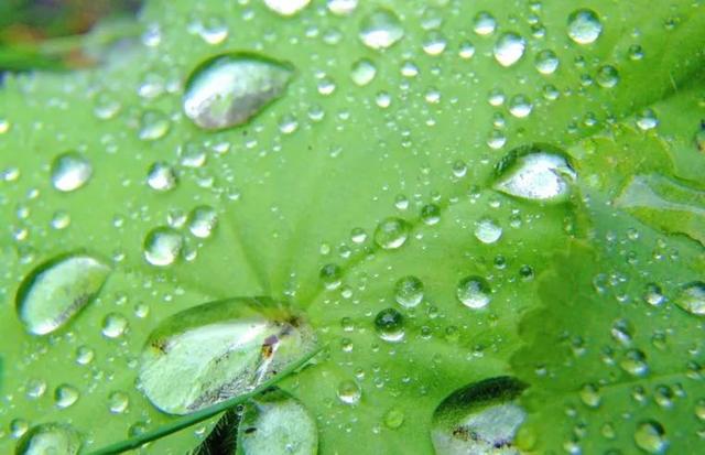 真正的零排放！这样的氢能源必定大有可为