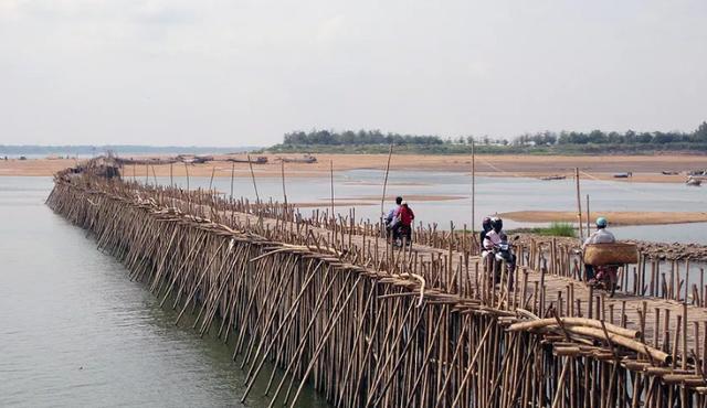 世界上最长的“竹桥”：由5万根竹子建成，每年都要拆除重建