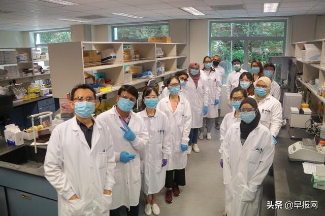 新加坡研发治冠病抗体药物 下周临床试验