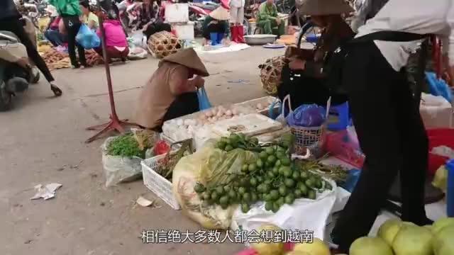 越南人的评价，美国是朋友，新加坡是亲人，中国仅有这2个字